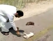 بالفيديو: مواطن يقوم بإنقاذ كلاب بعدما وجدها تئن من شدة الحر