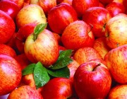 تعرف على الفوائد الصحية للتفاح