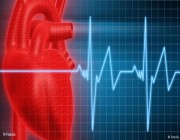 دراسة.. صحة قلبك في سلامة أمعائك!