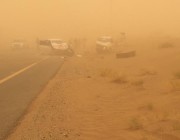 الجهني: موسم الغبار بدأ فعلياً على سواحل جنوب غرب المملكة