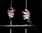 السجن والجلد والغرامة لمواطن في جريمة «احتيال إلكتروني»