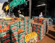 حرب تجارية.. إسرائيل تمنع تصدير المنتجات الزراعية للفلسطينيين