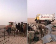 بالفيديو : مواطن يفاجأ بقطيع من الإبل والأغنام تموت من العطش في الصحراء .. شاهد ردة فعله !