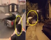 القبض على شبان يحطمون السيارات بقذفها بالحجارة في جازان ويوثقون فعلتهم بالفيديو