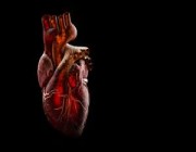 كوفيد-19 قد يتسبب بضرر في القلب يوازي النوبات القلبية 