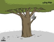 كاريكاتير.. خيانة غصن للشجرة