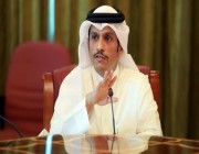 قطر: حكومة السيسي منتخبة شرعيا ولم نبحث موضوع “الإخوان” معها