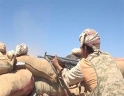 الجيش اليمني يكسر هجوماً حوثياً غرب مأرب