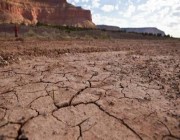 ولاية أمريكية تُقيم “صلاة استسقاء” لتجنب الجفاف.. إليك التفاصيل