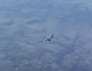 فيديو يظهر طائرة تحلق بشكل جانبي.. وطيار يوضح السبب