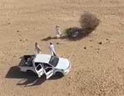 “غوث” للإنقاذ يعثر على المفقود الدوسري تحت شجرة بصحراء الرين (فيديو)