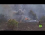 اتساع رقعة حرائق الغابات في قبرص وعمليات الإطفاء مستمرة