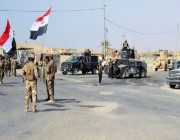 القوات الأمنية العراقية تحبط محاولة تفجير أحد أبراج الطاقة الكهربائية