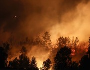 عشرات الجرحى في حريق غابات قرب منتجع سياحي تركي