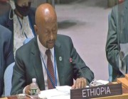 وزير الري الإثيوبي: بحث سد النهضة في مجلس الأمن إهدار للوقت