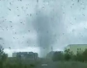 إعصار من البعوض يضرب قرية روسية ويثير الذعر بين السكان (فيديو)