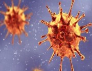 بريطانيا تُعلن اكتشاف سلالة جديدة من فيروس “كورونا”