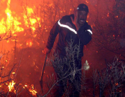 الحرائق في الجزائر تطال 20 ولاية
