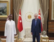 الرئيس التركي يستقبل وفدا إماراتيا برئاسة طحنون بن زايد