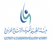 هيئة تنظيم الكهرباء تعلن عن (13) وظيفة إدارية وتقنية وهندسية شاغرة