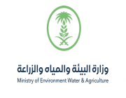 «البيئة» تطلق برنامج التدريب المستمر لرفع مستوى الكوادر الوطنية في مجال المياه