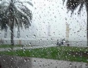 “المسند”: سقوط الأمطار في أغسطس نادر جدًا.. وهذه تواريخ الحالات الاستثنائية