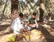 أصحاب مزارع في “الشماسية” يمنحون محصولهم بالمجان لأبناء المحافظة (فيديو)