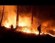 حرائق كثيفة في كاليفورنيا تجبر الآلاف من السكان على إخلاء منازلهم