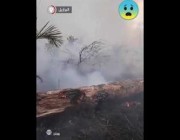 دخان كثيف يتصاعد فوق غابات الأمازون