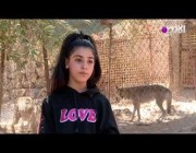 طفلة أردنية تروض الذئاب المفترسة