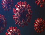 ماذا سيحدث لفيروس كورونا بعد تطعيم كل البشر؟ هل يختفي مرة أخرى؟