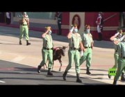 ماعز يشارك في العرض العسكري بمناسبة العيد الوطني الإسباني