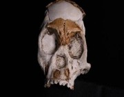 اكتشاف بقايا أحفورية لـ”أشباه البشر” عمرها 250 ألف سنة