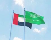 اللجنة التنفيذية لمجلس التنسيق السعودي الإماراتي تعقد اجتماعها الثالث بحضور عدد من الوزراء