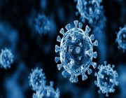 تواصل ارتفاع حالات الإصابة بفيروس كورونا في أفريقيا