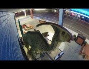 رجل يسرق دمية ديناصور من إحدى الأسواق المفتوحة في أوكلاهوما الأمريكية