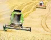 إنترفاكس: أوكرانيا تعلق صادراتها من بعض السلع الزراعية