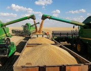 “الحبوب” تعلن موعد استلام محصول القمح الجديد