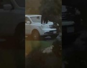 دب يحاول الوصول لامرأة مختبئة داخل سيارتها بولاية كارولينا الأمريكية