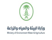 وزارة البيئة تعلن عن وظائف شاغرة في 4 مناطق .. وتكشف عن الشروط المطلوبة