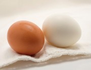 دراسة تكشف تأثير تناول بيضة واحدة في اليوم على صحة الإنسان