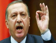 عاجل.. أول تعليق من «أردوغان» على انضمام السويد وفنلندا لـ«الناتو»