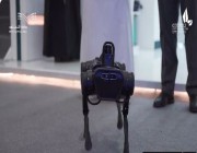 مطوّر بأيادي سعودية.. “إكس لايف” روبوت  يبهر زوار معرض التعليم بالمملكة (فيديو)
