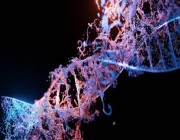 دراسة أمريكية تكشف الجين المسؤول عن إصابة البشر بالسرطان