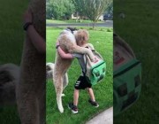 كلب يحتضن طفلاً ويعانقه يومياً لدى عودته من المدرسة