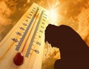 ما هي أمراض الصيف.. وكيف يمكن الوقاية من الحرارة المرتفعة؟