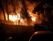 حرائق الغابات تدمر المنازل في اليونان