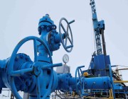 وزيرة الطاقة الإسبانية تطالب الشركات بتقليص واردات الغاز الروسي