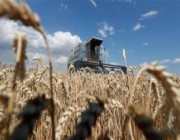 أنقرة: روسيا وأوكرانيا ستجريان محادثات جديدة بشأن الحبوب في تركيا الأسبوع المقبل