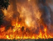 تزامناً مع انتشارها.. تعرّف على أبرز حرائق الغابات التي شهدها العالم في 2022